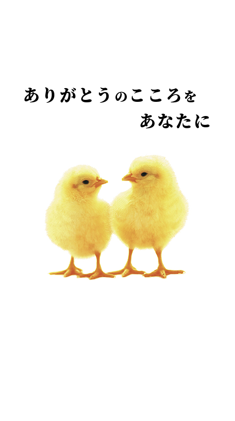 株式会社児湯食鳥 ありがとうのこころをあなたに 私たちは 児湯食鳥です